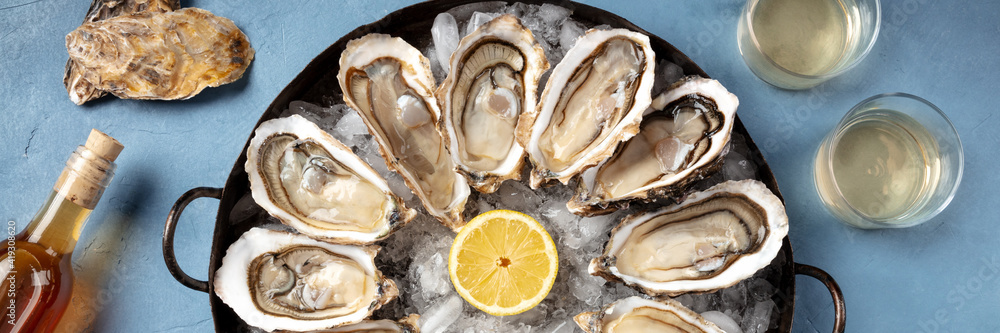Oysters and wine panorama, top flat lay shot on a blue background Oysters and wine panorama, top flat lay shot on a blue background