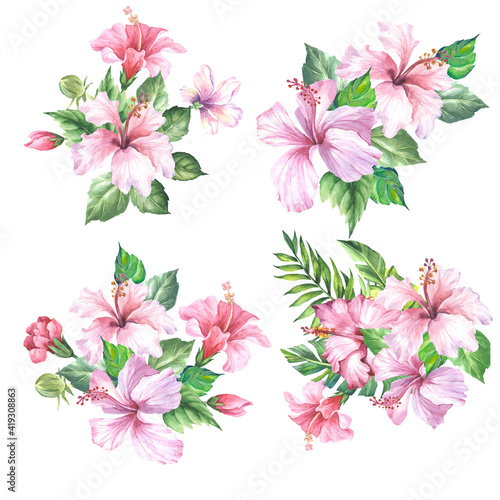 set of pink flowers.watercolor hibiscus