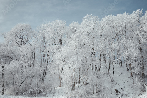 landscape snowy streets