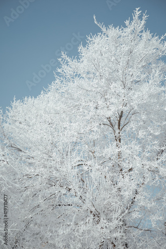 landscape snowy streets