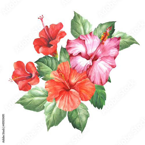 watercolor hibiscus flower isolated