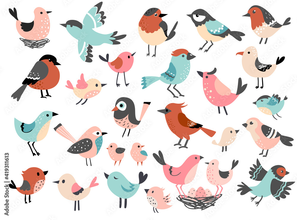 Cute bird set, funny little bird family, hand drawn vector illustration