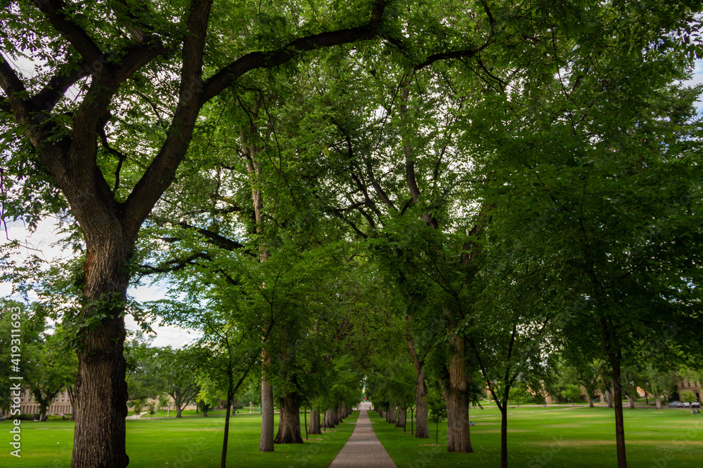 Fototapeta premium College Campus_Fort Collins Colorado