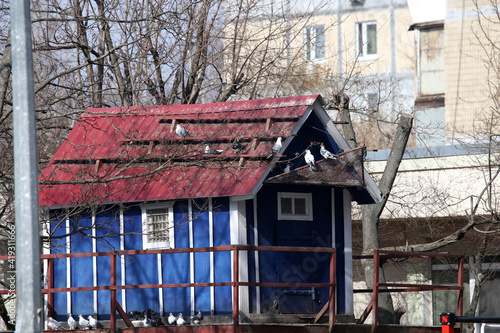 blue dovecote with red roof © Сергей Луговский