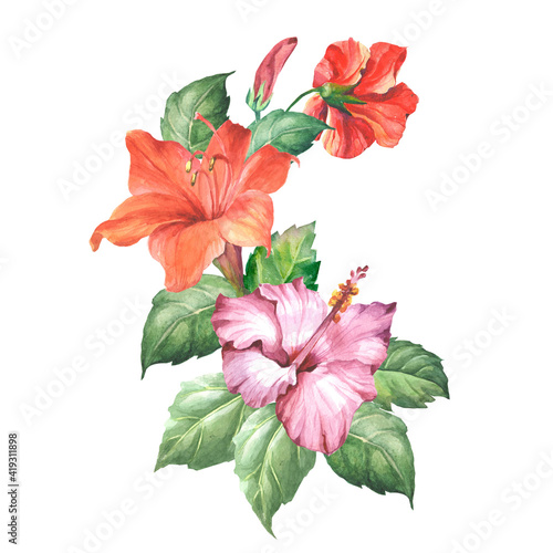 watercolor hibiscus flower isolated