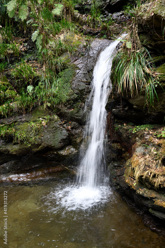 Fototapeta premium 黒山三滝