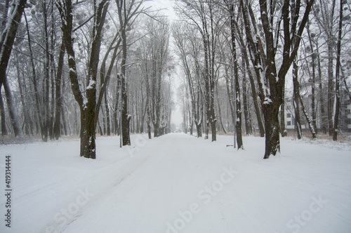 Snowy winter road among the trees