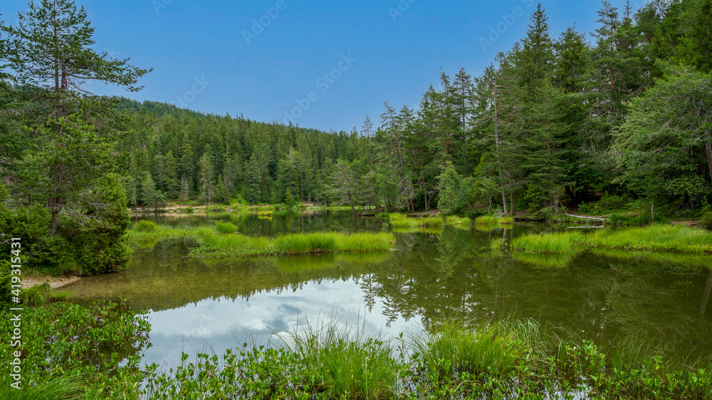 Obraz premium lake in the forest Möserer See Austria