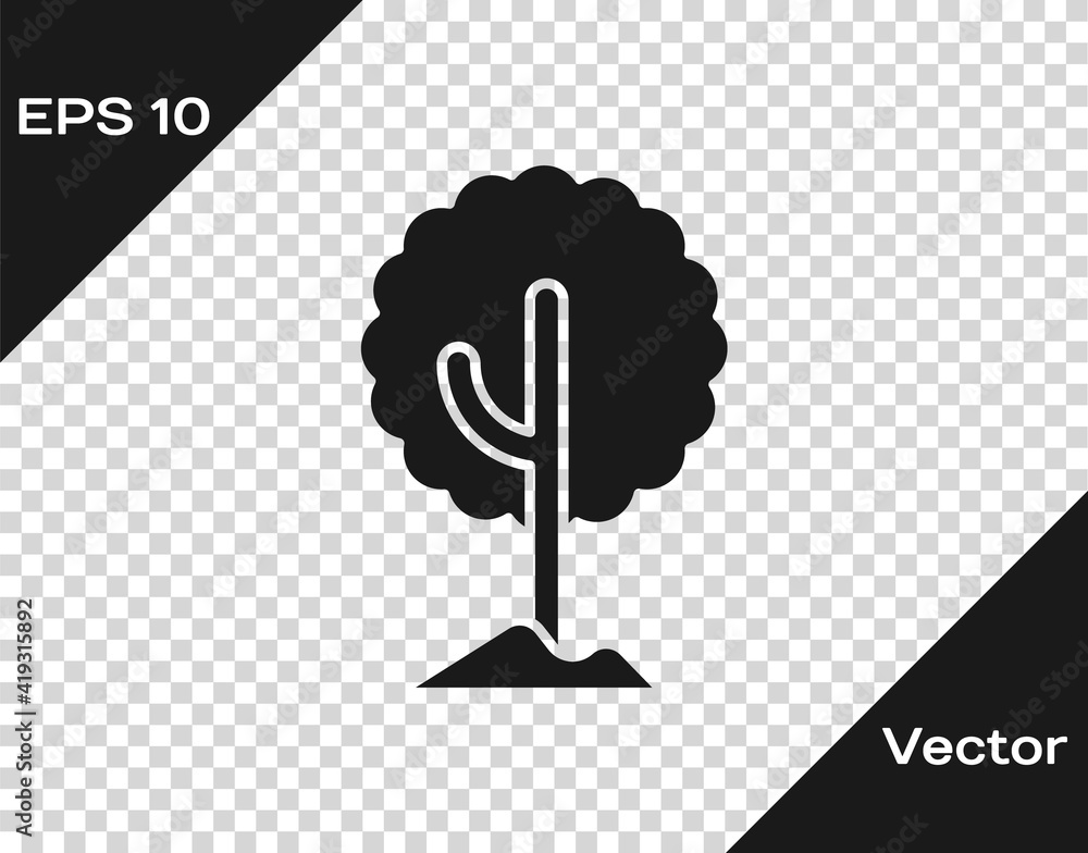 Fototapeta premium Black Tree icon isolated on transparent background. Forest symbol. Vector.