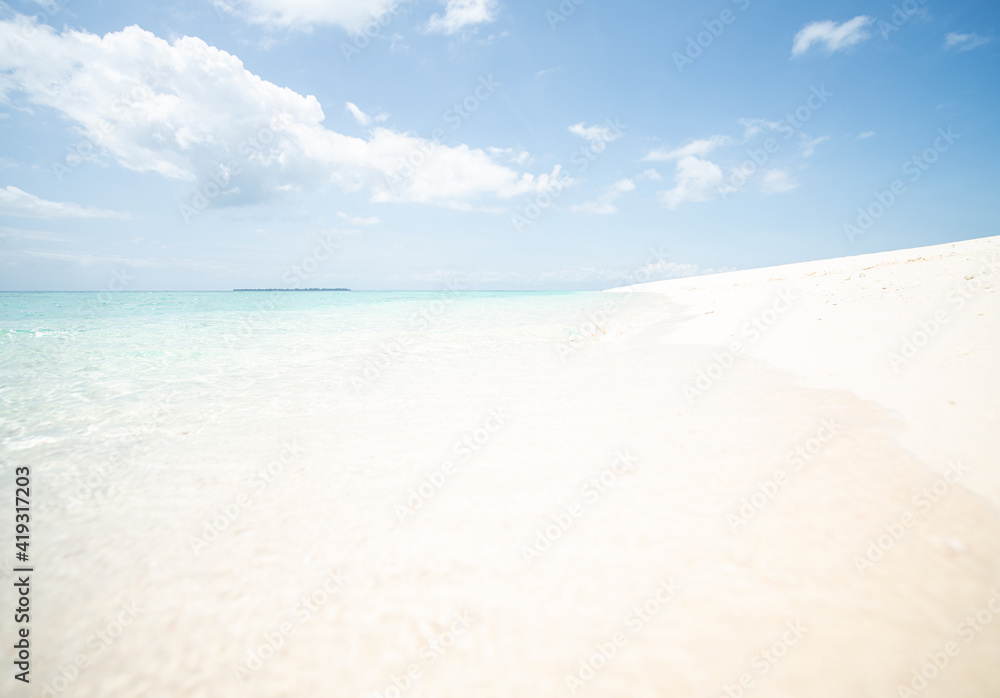 Beautiful tropical white sand beach and sea