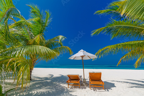 Tropical beach nature as summer landscape with lounge chairs and palm trees and calm sea for beach banner. Luxurious travel landscape, beautiful destination for vacation or holiday. Beach scene 