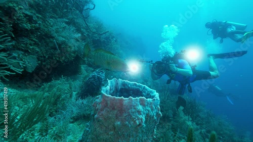 Wallpaper Mural Slow Motion: Scuba Diver Photographing Fish Swimming Over Coral Torontodigital.ca
