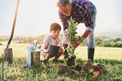 Valokuvatapetti Grandfather and grandson planting a tree