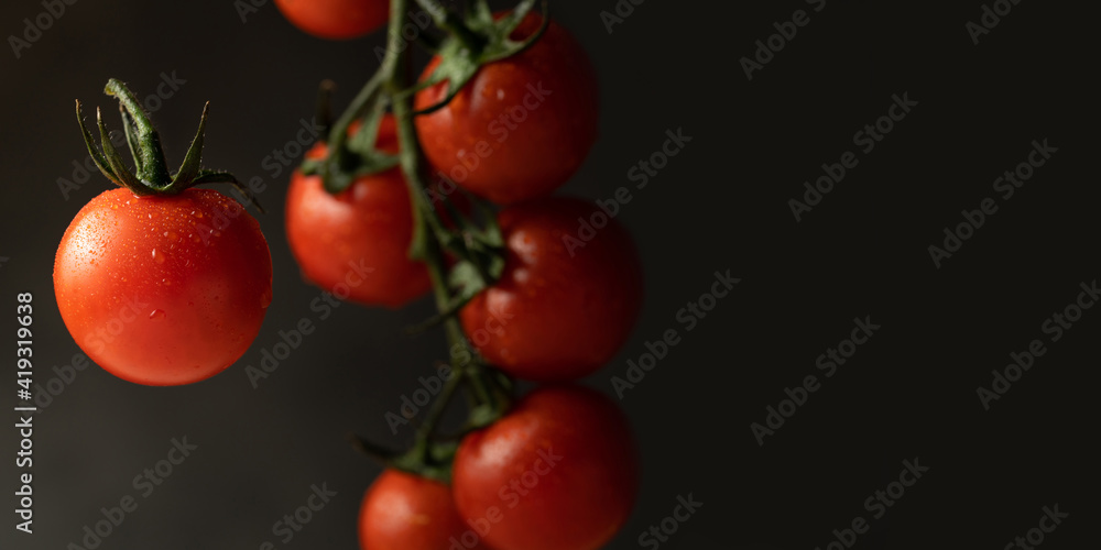 Cherry tomato and branch of tomatoes in drops of water on a gray background, copy space.