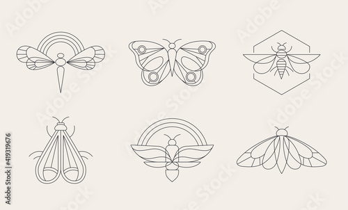 Bohemian linear logos, icons and symbols, insect, butterfly, dragonfly and moth design templates, geometric abstract design elements for decoration. 