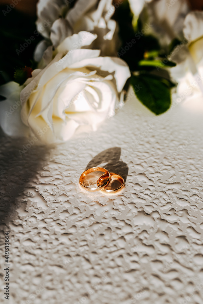 Golden wedding rings under sun. White roses on white table. Fresh flowers on white background. Wedding rings with water drops and flowers.