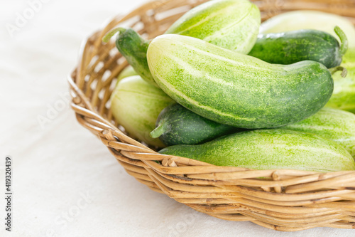 Close up group of fresh organic cucumber or zucchini in wood basket on white table. Cucumber or zucchini is crunchy vegetable which have sweet taste and crunchy for salad and cooking.