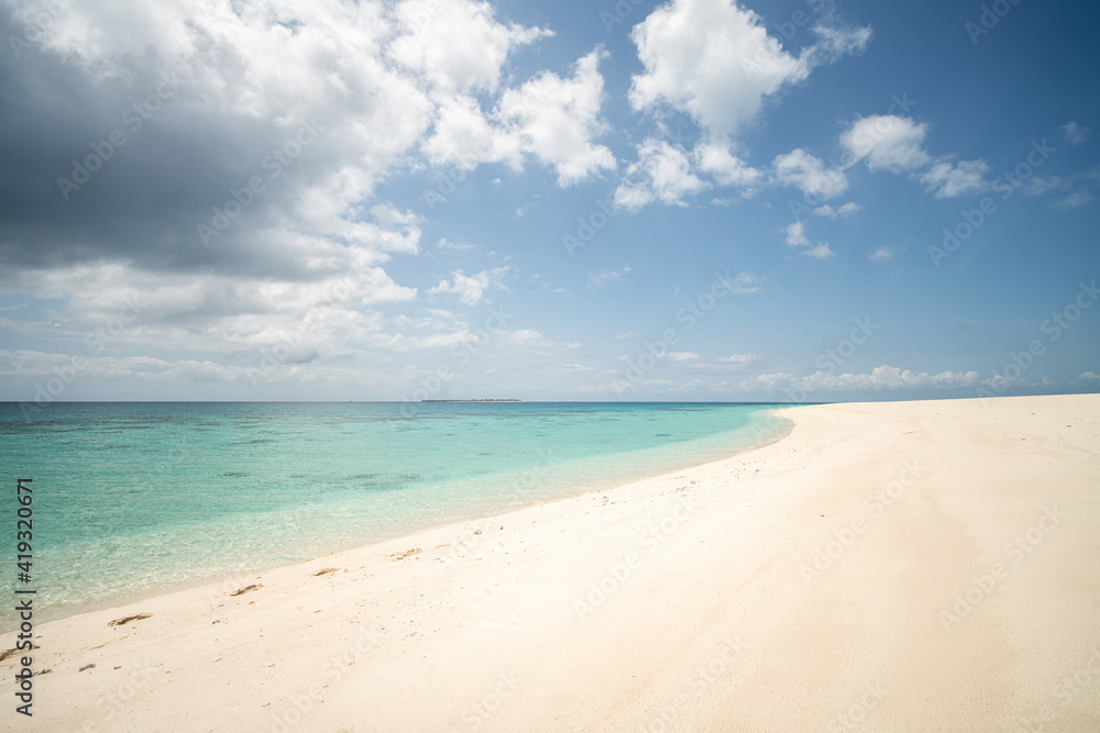 Beautiful tropical white sand beach and sea