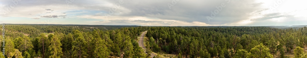 Panorama view of green forest and road in north rim of Grand canyon shooting from looking tower