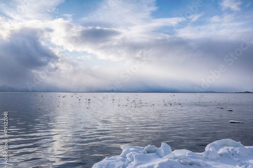 Seascape with a flock of seagulls over the water surface of the bay.