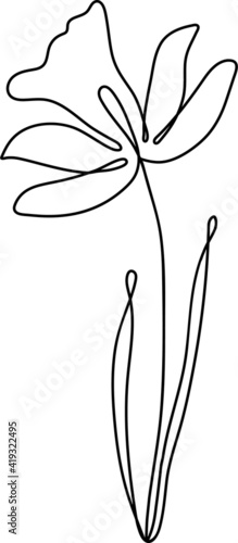 Continuous line art contour daffodil, flower, vector