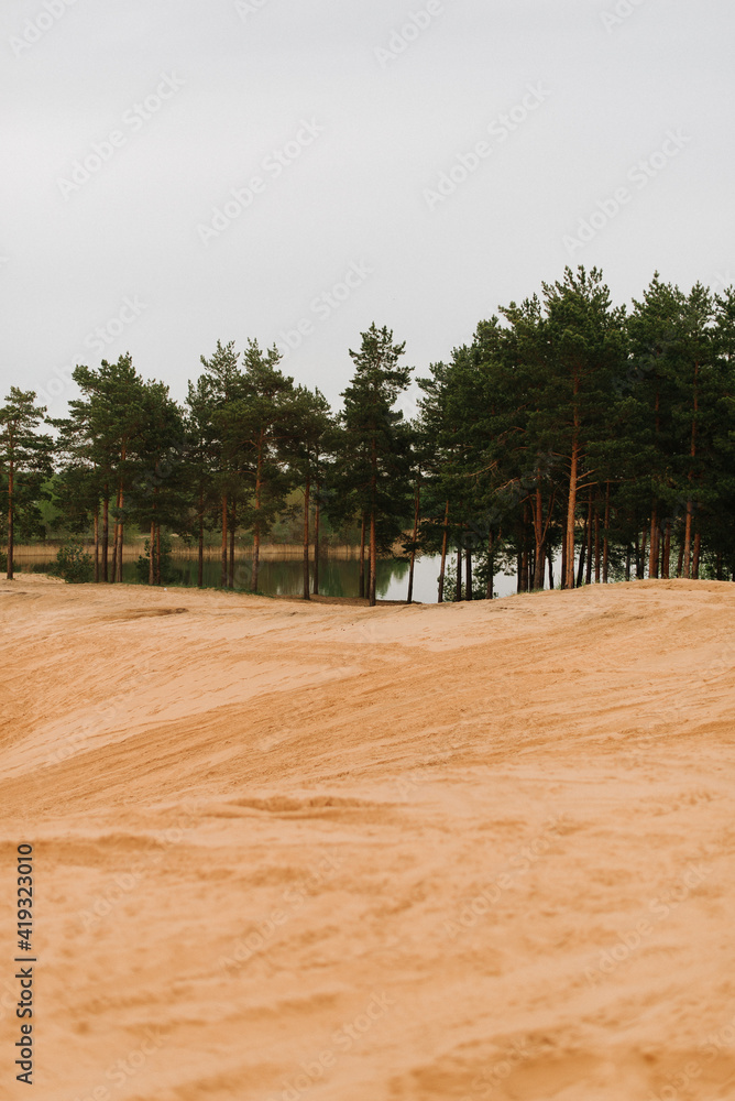 sandy landscape, yellow sand, green forest and lake in the distance