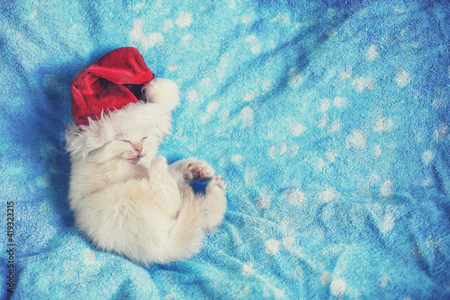 Little white kitten in Santa Claus hat lying on a blue soft blanket