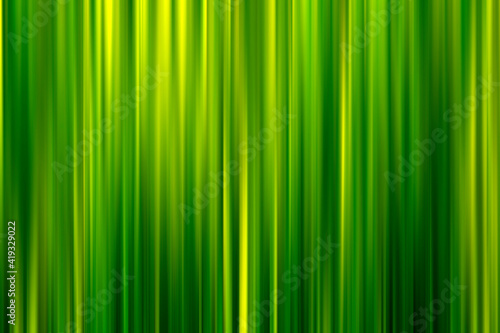 Abstract vertical line of green and yellow background.