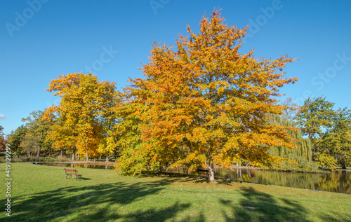 autumn in the park / Stromovka, Prague, Czech Republic