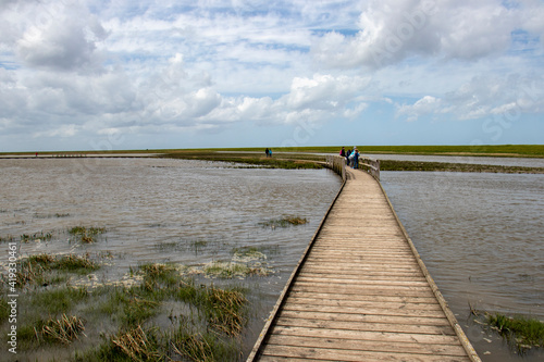 Wanderpfad Langwarder Groden  Fedderwardersiel 5