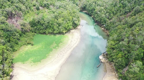 long river in the forest