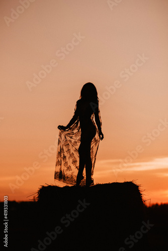 Silhouette of a sexy nude girl in underwear in a field in summer at sunset in nature © alexkoral