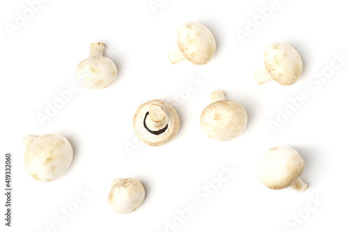 collection of white champignons isolated on white