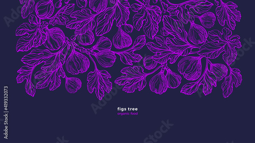 Ficus plant. Vector art hand drawn illustration