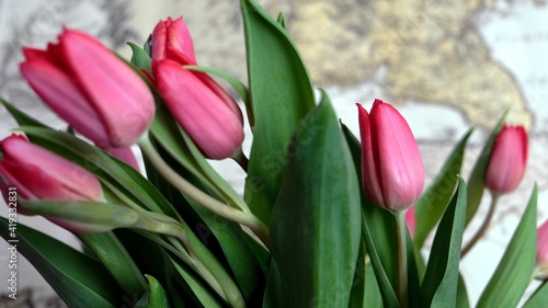 Red tulips and a copy of an old map