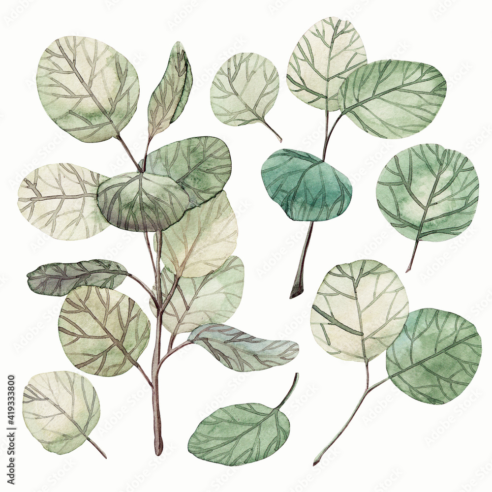 Watercolor fresh green spring leaves and twigs Watercolor fresh green spring leaves and twigs