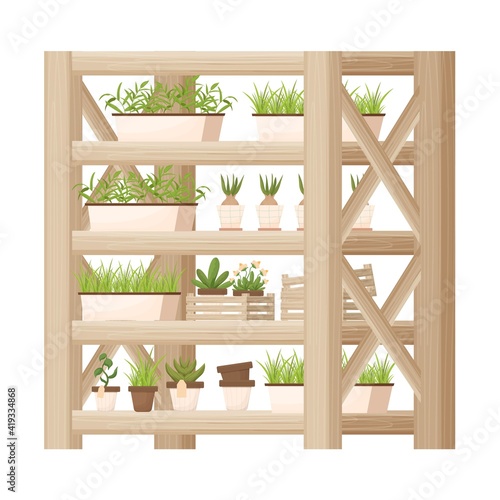 Wooden shelving, showcase with plants, flowerpots in cartoon style, textured and detailed isolated on white background. Indoor furniture, elegant bookcase, floral store equipment. 