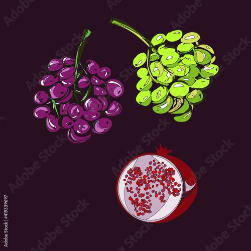 Ripe bunch of grapes. Red ripe pomegranate with seeds. Purple and green. Fruit. Veganism, vegetarianism, raw food diet, proper nutrition. Vector isolated objects.