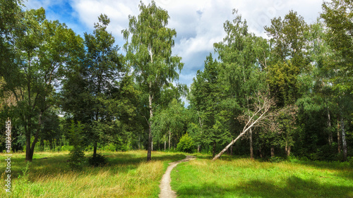 Beautiful green grove with a footpath during summer © vladimirzhoga