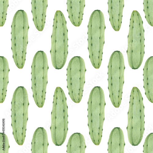 a seamless pattern of detailed cucumber on a white. organic food, farmers market