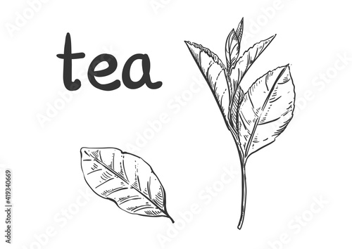 2021.02 tea artbord