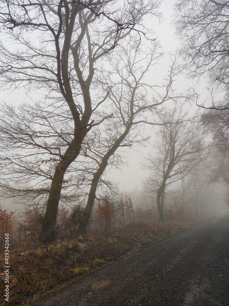 Fototapeta premium Eine Nebel Landschaft kann auch sehr mystisch sein