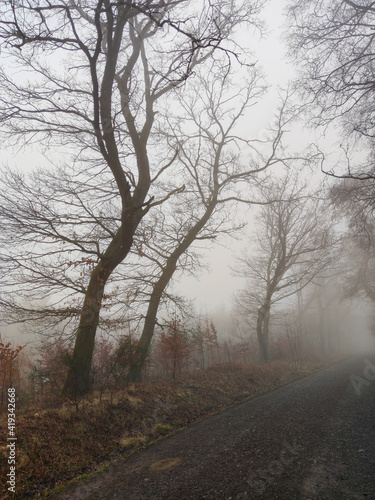 Eine Nebel Landschaft kann auch sehr mystisch sein