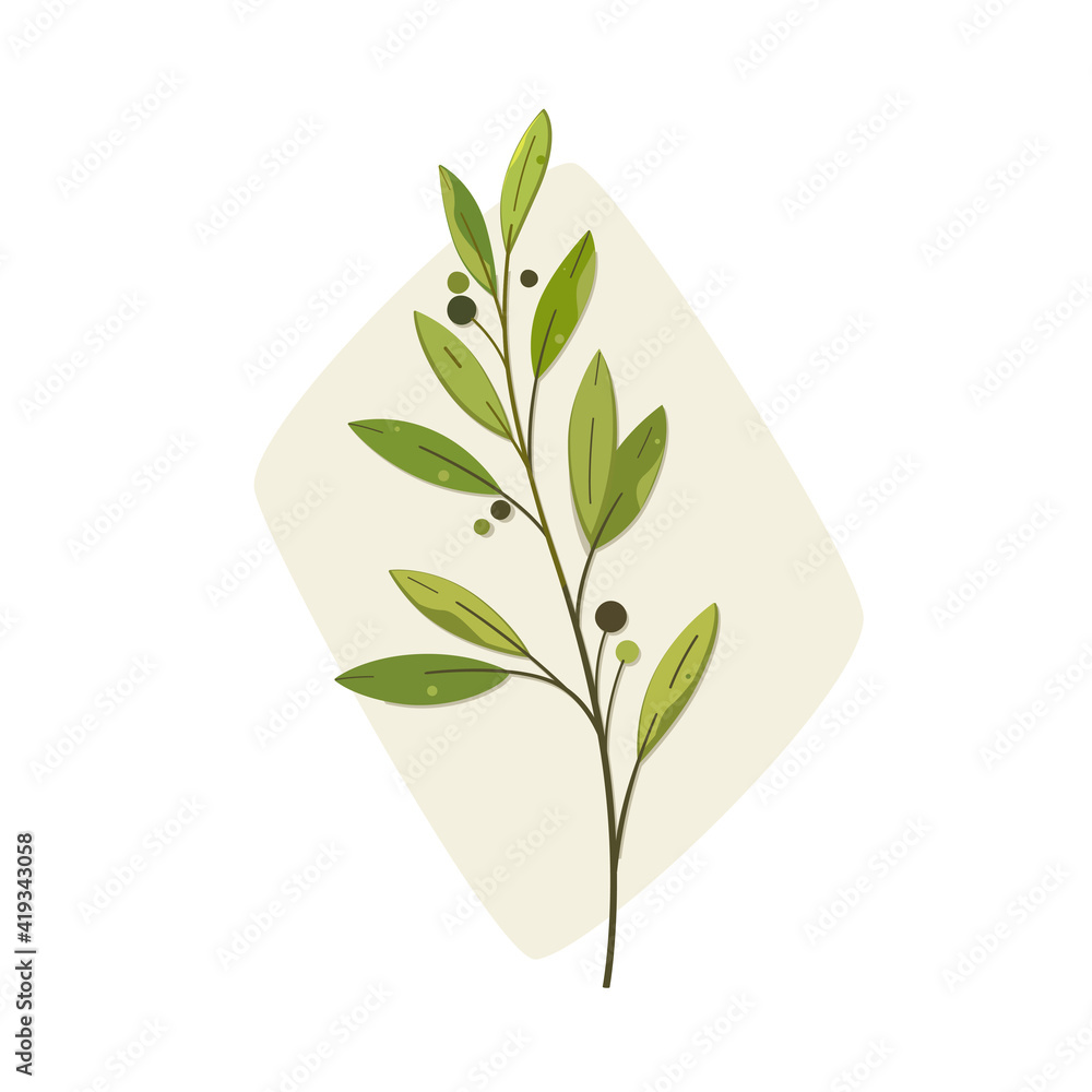 Obraz premium Branch of bay tree. Flat colorful illustration.