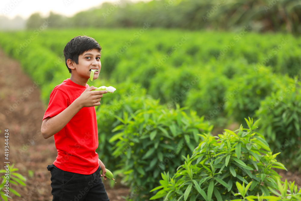 Cute indian child eating raw banana fruit at agriculture field Cute indian child eating raw banana fruit at agriculture field