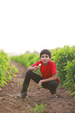 Cute indian child eating raw banana fruit at agriculture field