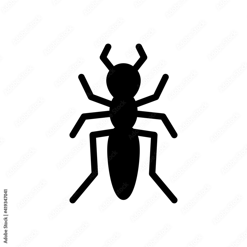 insect insect