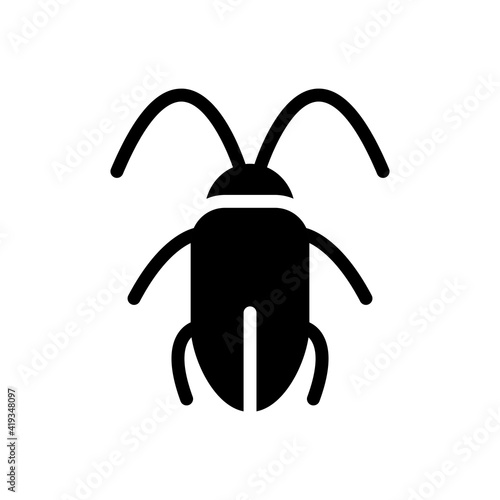 cockroach