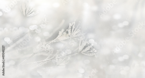 Frosty winter natural background. Abstract blurred focus. © Ann Stryzhekin