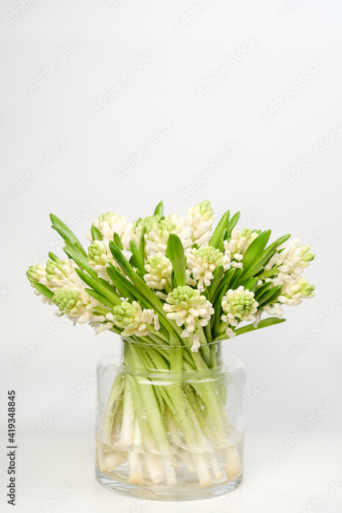 Blossoming white hyacinths. A bouquet in a cylindrical glass vase on a white background.